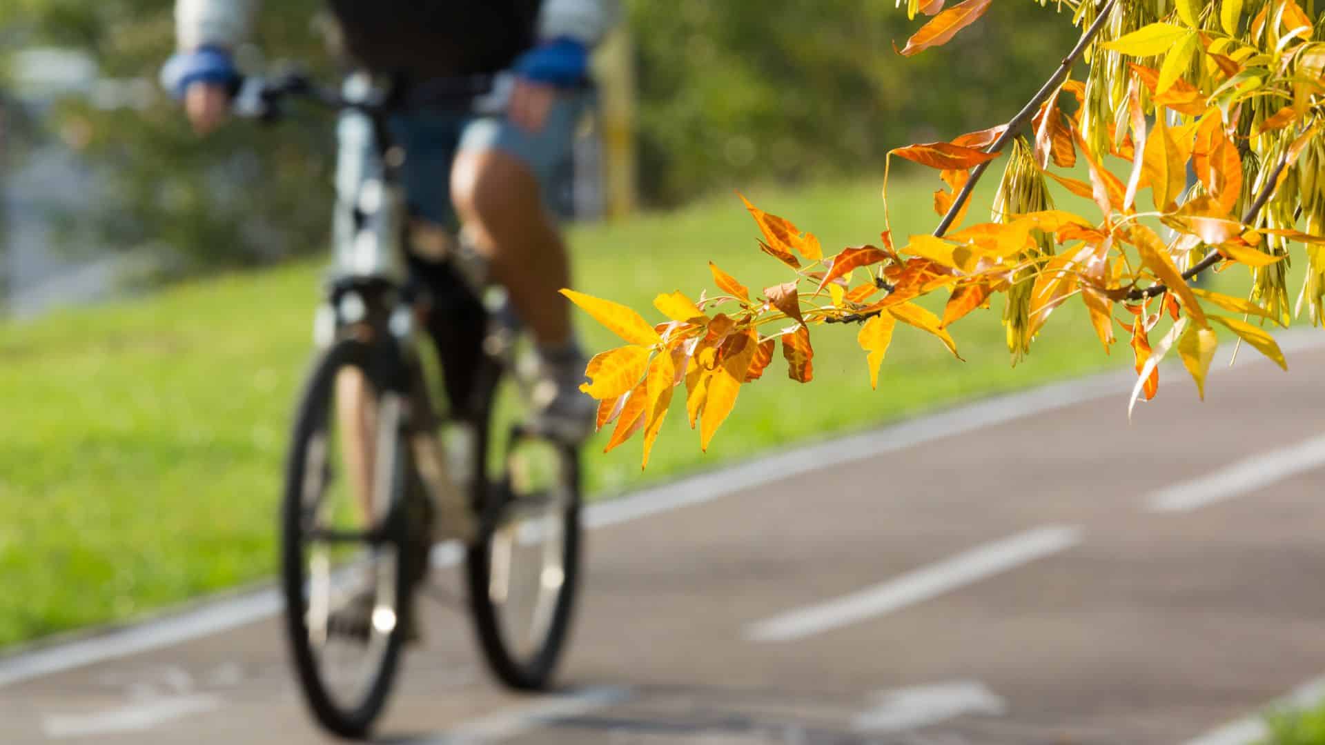 Utredning av cykelvägar i Rönninge – trygg skolväg för barn